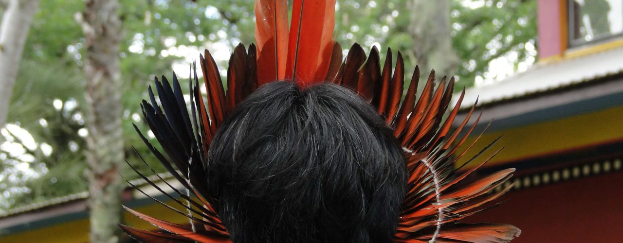 cultura Guarani